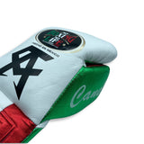 No Boxing No Life Fight Gloves - Canelo Edition - MX Colors