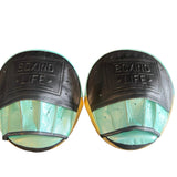 No Boxing No Life Precision Mitts - Teal/ Black