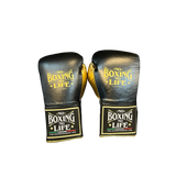 No Boxing No Life Training Gloves - Black/ Gold