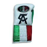 No Boxing No Life Fight Gloves - Canelo Edition - MX Colors