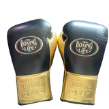 No Boxing No Life Training Gloves - Black/ Gold