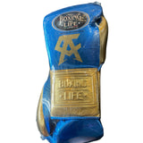 No Boxing No Life Training gloves - Canelo Edition - Metallic Blue/ Gold