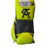 No Boxing No Life Fight Gloves - Canelo Edition - Canelo vs Sergey Kovalev